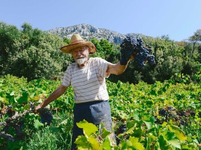 Prirodno vino iz Prizdrine pije se i u Americi