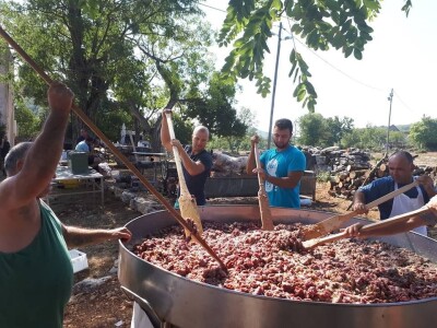 PRISNAC FEST 2018 -  Osječki gradonačelnik Ivica Vrkić u svom zavičaju na fešti od prisnaca u dalmatinskom Zelengraduod prisnaca