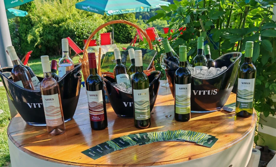vina vitus