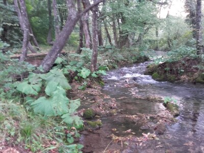 Nevenka Midžić - Plitvice