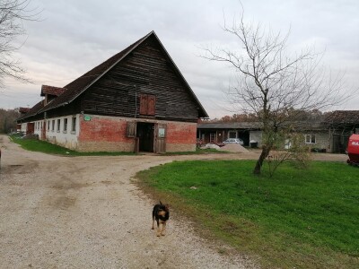 Prnjavorska ergela "Vučijak"