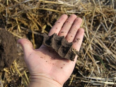 Proba dlanom - dlan je suv