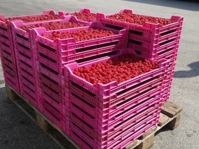 Problem s otkupom malina Problem s otkupom malina