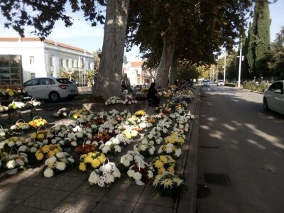 Prodaja cvijeća u Čapljini