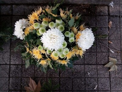 Prodaja cvijeća u Čapljini