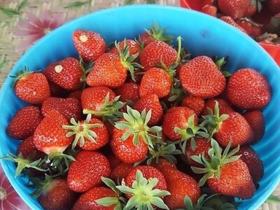 Prodaja iz naslonjača je učinkovitija i efikasnija Prodaja iz naslonjača je učinkovitija i efikasnija