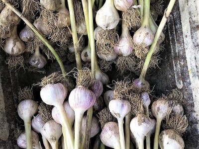 Prodaja iz naslonjača je učinkovitija i efikasnija Prodaja iz naslonjača je učinkovitija i efikasnija