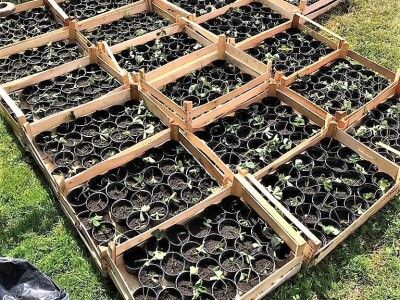 Prodaja iz naslonjača je učinkovitija i efikasnija Prodaja iz naslonjača je učinkovitija i efikasnija