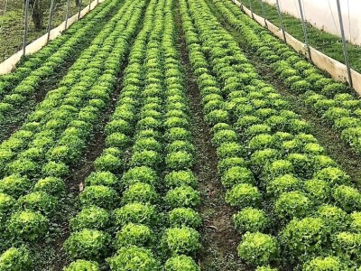 Prodaja iz naslonjača je učinkovitija i efikasnija Prodaja iz naslonjača je učinkovitija i efikasnija