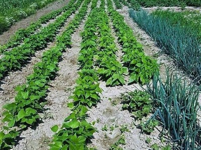 Prodaja iz naslonjača je učinkovitija i efikasnija Prodaja iz naslonjača je učinkovitija i efikasnija