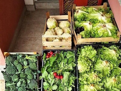 Prodaja iz naslonjača je učinkovitija i efikasnija Prodaja iz naslonjača je učinkovitija i efikasnija