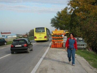 Prodaja mandarina na štandovima uz turističku Jadransku magistralu