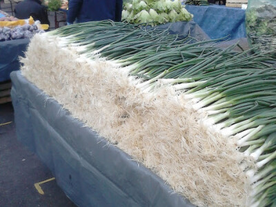 Na Dolcu se nedavno mogao kupiti mladi luk iz Martinčićevih plastenika