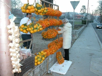 Prodaja neretvanskih mandarina
