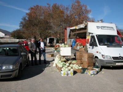Poljoprivredni proizvođači i kupci kupusa na sinjskom pazaru