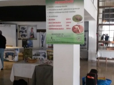 Pro-Eco - Maslina 2015, St