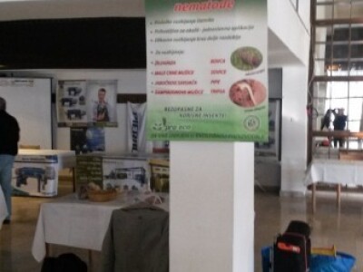 Pro-Eco - Maslina 2015, St