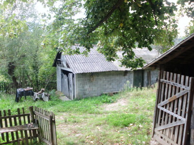 Profesorka ruskog u potrazi za najjednostavnijim načinom proizvodnje povrća Profesorka ruskog u potrazi za najjednostavnijim načinom proizvodnje povrća