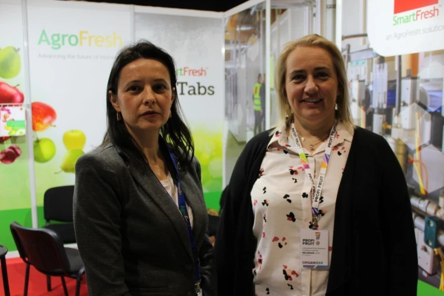 Biljana Bosiljčić