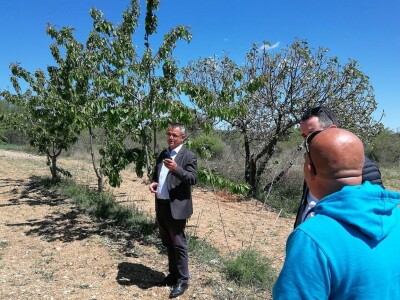 Proglašena elementarna nepogoda za 10 naselja na bekovačkom području: Štete veće od 10 milijuna kuna!