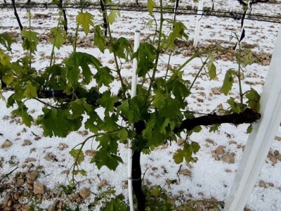 Proglašena elementarna nepogoda za 10 naselja na bekovačkom području: Štete veće od 10 milijuna kuna!