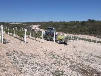 Proglašena elementarna nepogoda za 10 naselja na bekovačkom području: Štete veće od 10 milijuna kuna!