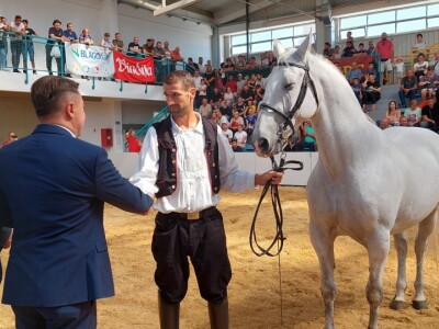 Proglašeni šampioni 30. Državne stočarske izložbe u Gudovcu