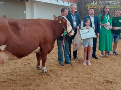 Proglašeni šampioni 30. Državne stočarske izložbe u Gudovcu