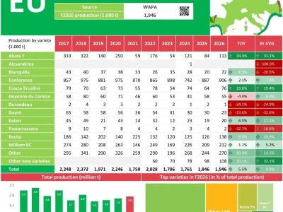 Prognosfruit: Europa ostaje bez 15 posto uroda jabuka