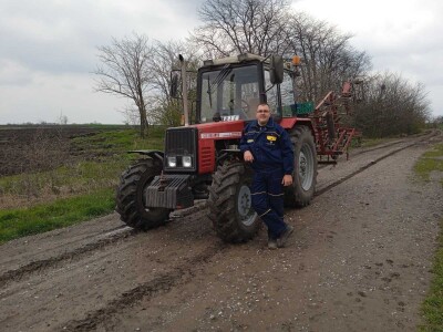 Proiyvodnja belog luka u Padini kod Pančeva