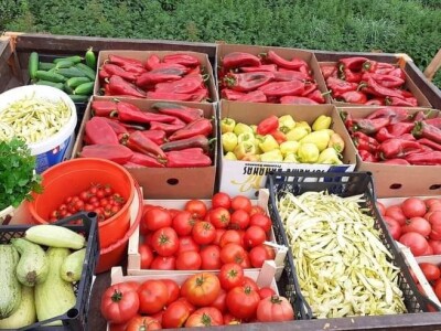 Proizvedemo 3.000 tegli ajvara i do Nove godine sve rasprodamo