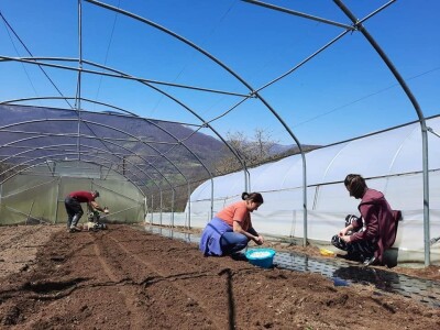Proizvedemo 3.000 tegli ajvara i do Nove godine sve rasprodamo