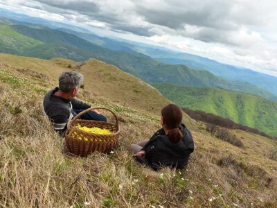 Proizvedemo 3.000 tegli ajvara i do Nove godine sve rasprodamo