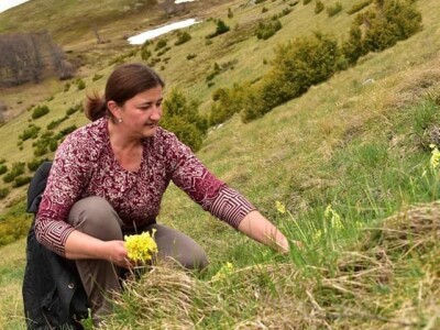 Proizvedemo 3.000 tegli ajvara i do Nove godine sve rasprodamo