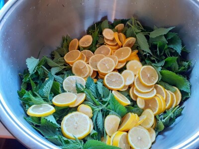 Proizvedemo 3.000 tegli ajvara i do Nove godine sve rasprodamo