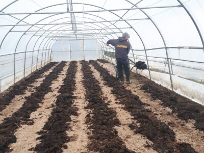 Proizvedemo 3.000 tegli ajvara i do Nove godine sve rasprodamo