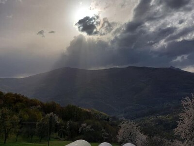 Proizvedemo 3.000 tegli ajvara i do Nove godine sve rasprodamo