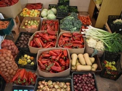 Proizvedemo 3.000 tegli ajvara i do Nove godine sve rasprodamo