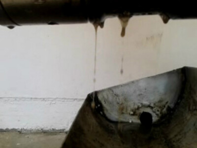 Ulje izlazi iz prese