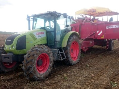 Proizvođači krumpira u Međimurju žale se na nisku otkupnu cijenu