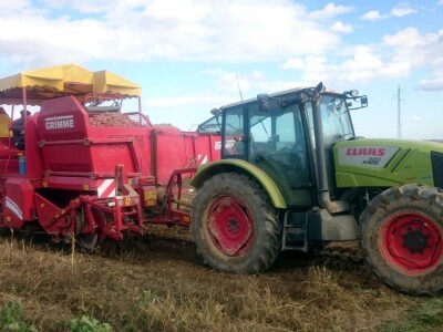 Proizvođači krumpira u Međimurju žale se na nisku otkupnu cijenu