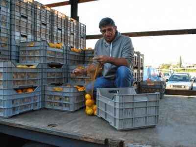 Akcija na seljačkoj tržnici