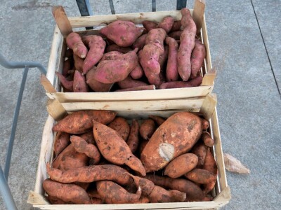 Proizvođači zadovoljni jer imaju gdje plasirati svoje eko proizvode a kupci se vraćaju