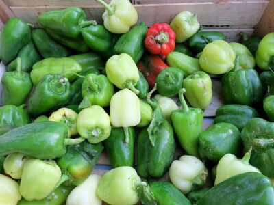 Proizvođači zadovoljni jer imaju gdje plasirati svoje eko proizvode a kupci se vraćaju