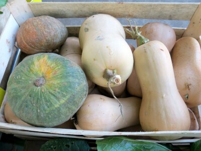 Proizvođači zadovoljni jer imaju gdje plasirati svoje eko proizvode a kupci se vraćaju