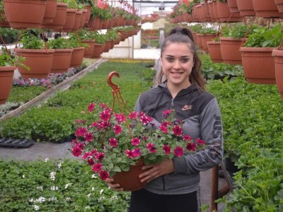 Proizvode preko 70 vrsta cvijetnica