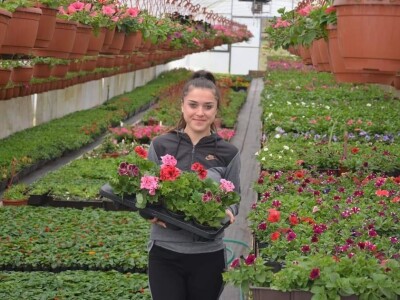 Proizvode preko 70 vrsta cvijetnica