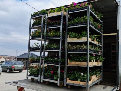 Proizvode preko 70 vrsta cvijetnica