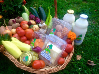 Šarene korpe proizvoda porodice Mijatović Šarene korpe proizvoda porodice Mijatović