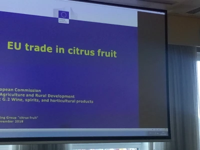 Proizvodnja agruma